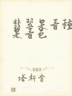 翡翠是看种水还是看色