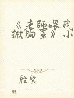 《老师喂我乳我掀胸罩》小说封面