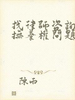 找律师咨询孩子抚养权问题