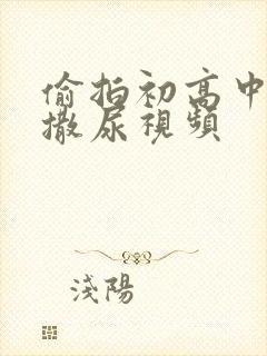 偷拍初高中女厕撒尿视频