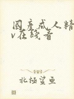 国产成人精品av在线看封面