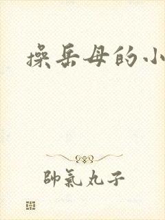 操岳母的小说封面