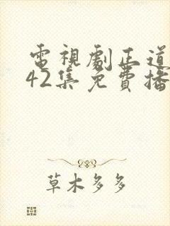 电视剧正道无敌42集免费播放封面