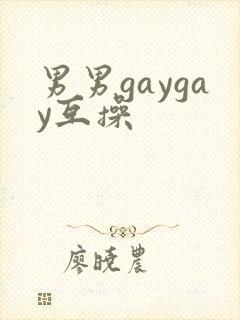 男男gaygay互操