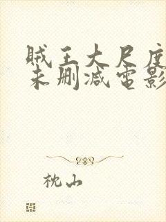 贼王大尺度做爰未删减电影