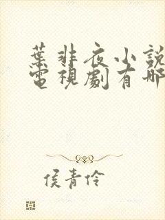 叶非夜小说改编电视剧有哪些