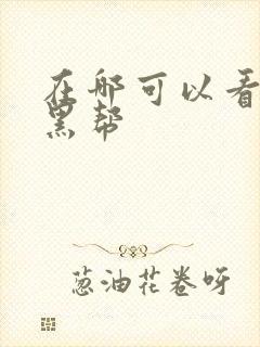 在哪可以看浴血黑帮