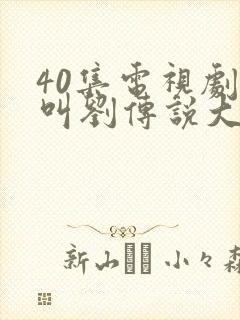 40集电视剧我叫刘传说大结局封面