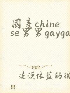 国产chinese男男gaygay网站网约