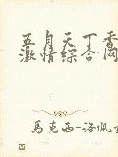 五月天丁香婷婷激情综合网