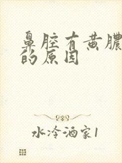 鼻腔有黄脓鼻涕的原因