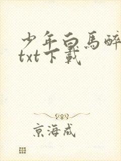 少年白马醉春风txt下载