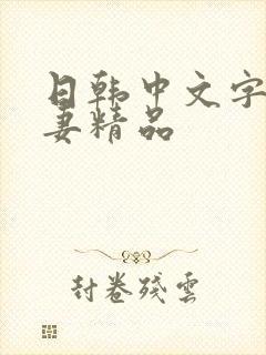 日韩中文字幕人妻精品