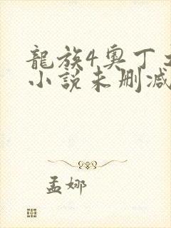 龙族4奥丁之渊小说未删减版