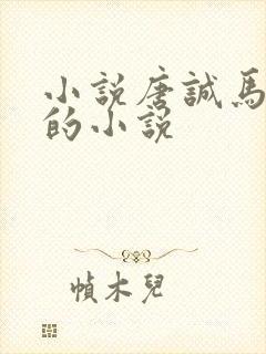 小说唐诚马玉婷的小说封面