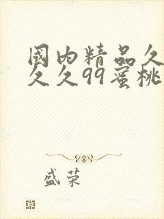 国内精品久久久久久99蜜桃