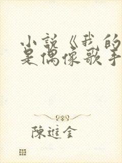 小说《我的房东是偶像歌手》