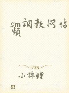 sm调教网站视频