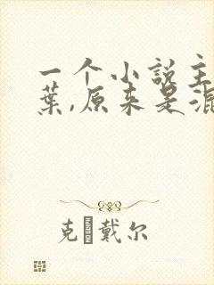 一个小说主角姓叶,原来是混混的