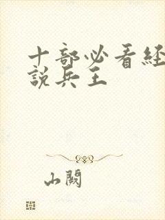 十部必看经典小说兵王