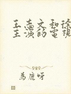 王志文和徐静蕾主演的电视剧封面