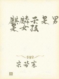 麒麟子是男孩还是女孩