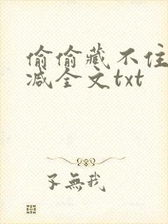 偷偷藏不住无删减全文txt