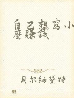 自己想写小说怎么赚钱