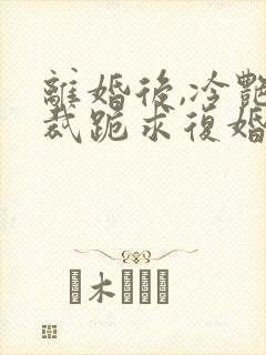 离婚后,冷艳总裁跪求复婚
