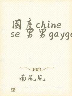 国产chinese 男男gaygay网站