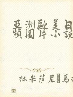 亚洲欧美日韩视频图片小说