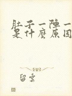 肚子一阵一阵痛是什么原因封面