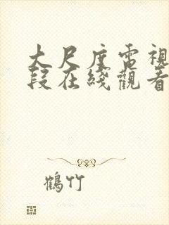 大尺度电视剧片段在线观看封面