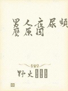 男人夜尿频多什么原因