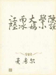 江南大学陈宝柱陆冰嫣小说封面