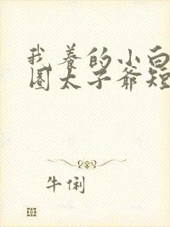 我养的小白脸京圈太子爷短剧