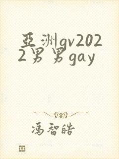 亚洲gv2022男男gay