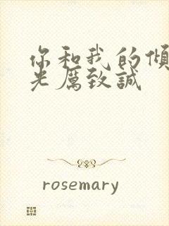 你和我的倾城时光厉致诚