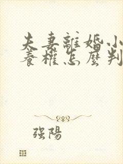 夫妻离婚小孩抚养权怎么判抚养费怎么出