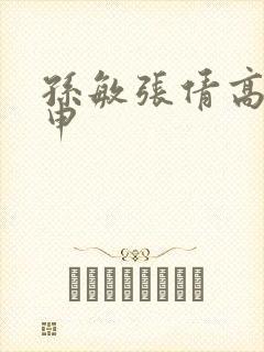 孙敏张倩高义王申