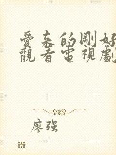 爱来的刚好免费观看电视剧