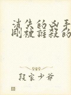 消失的凶手段志刚被谁杀的