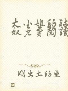 大小姐的贴身欲奴免费阅读