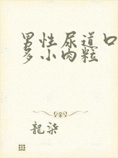 男性尿道口有许多小肉粒