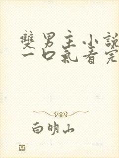 双男主小说虐文一口气看完封面