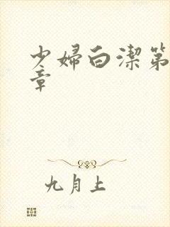 少妇白洁第十四章