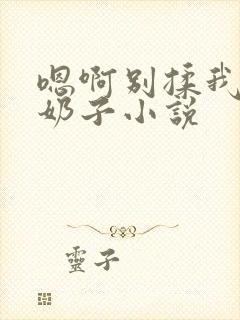 嗯啊别揉我的大奶子小说