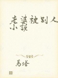 老婆被别人操的小说