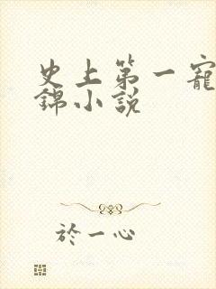 史上第一宠婚姒锦小说