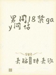 男同18禁gay网站